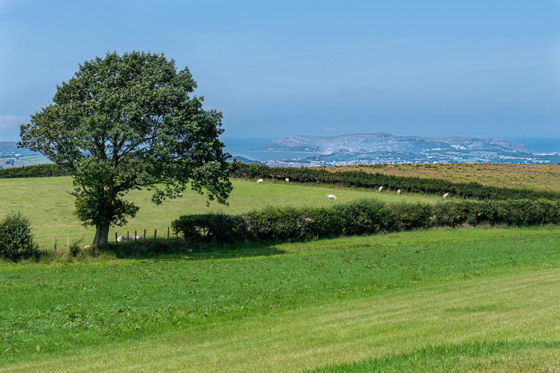Waenfechan Glamping with Hot Tubs
