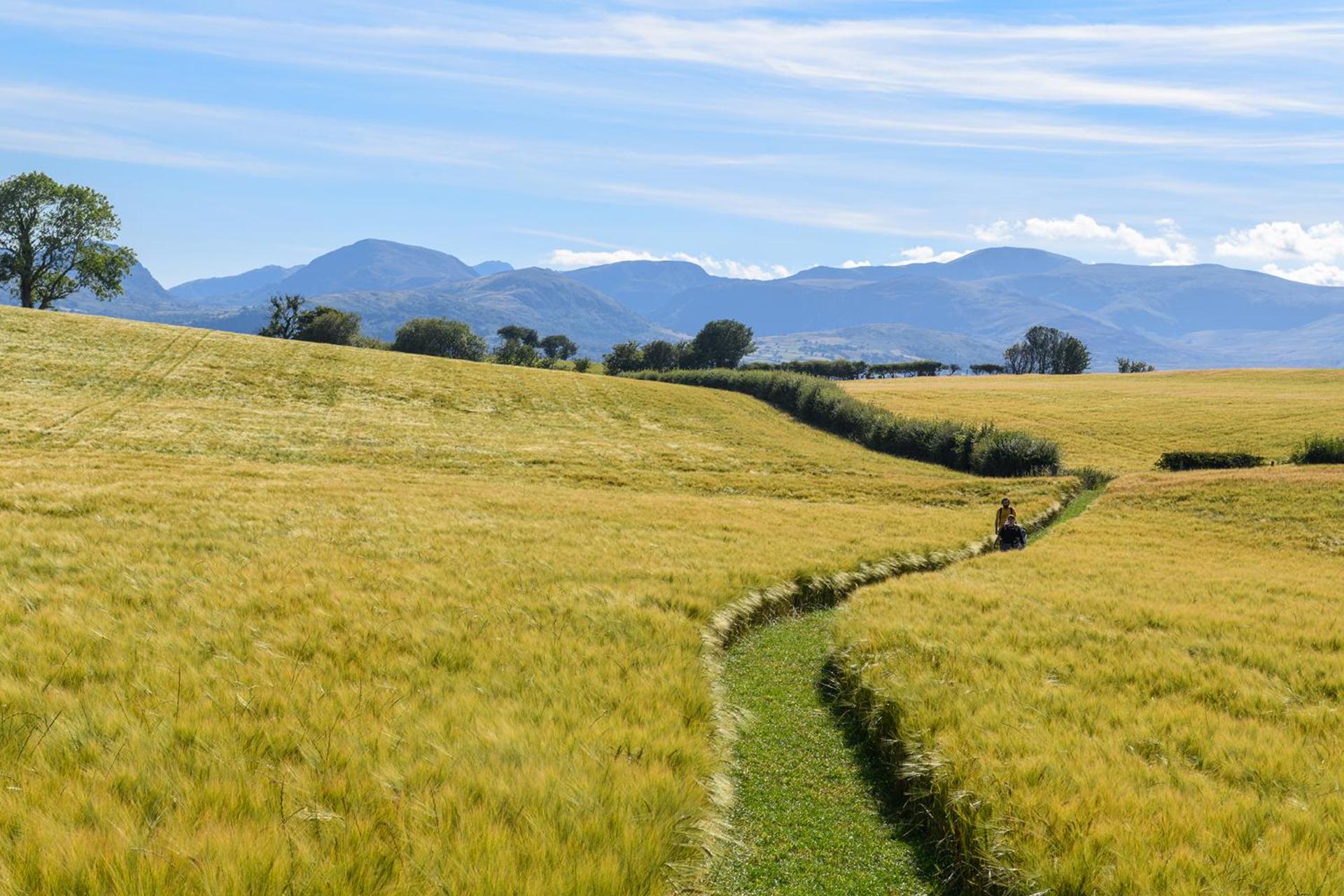 Waenfechan Glamping with Hot Tubs