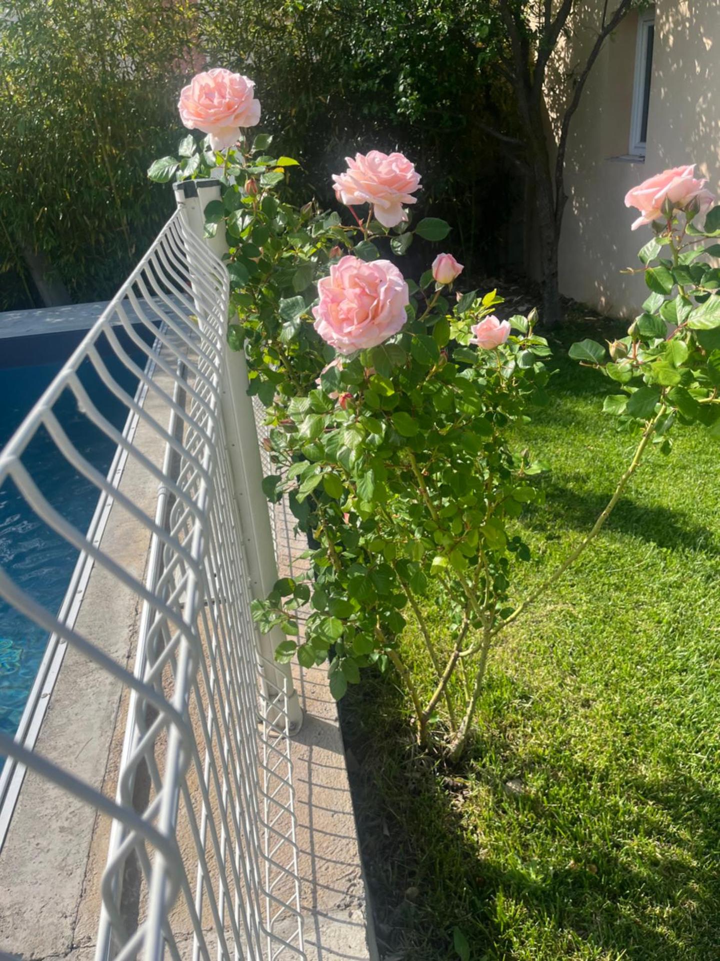 Villa climatisé avec piscine et jacuzzi