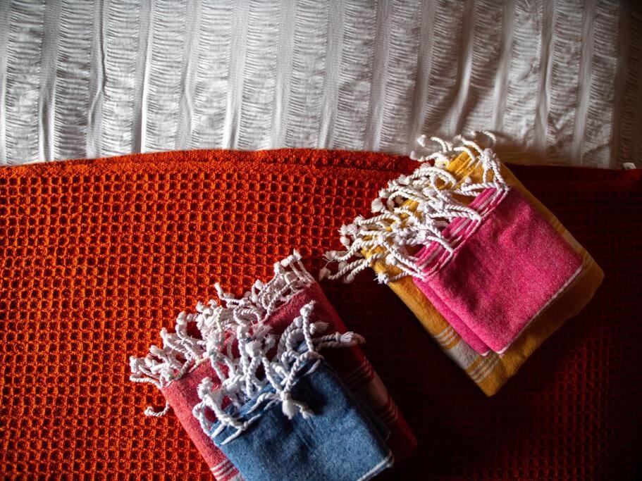 Giant Yurt Sleeping 8 with Spa, Catering, Walled Gardens, Nature Reserve, Free Parking