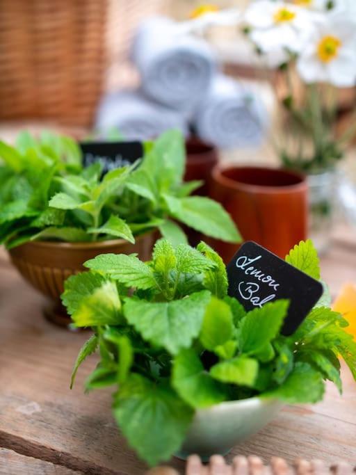 Spa and wellness centre/facilities