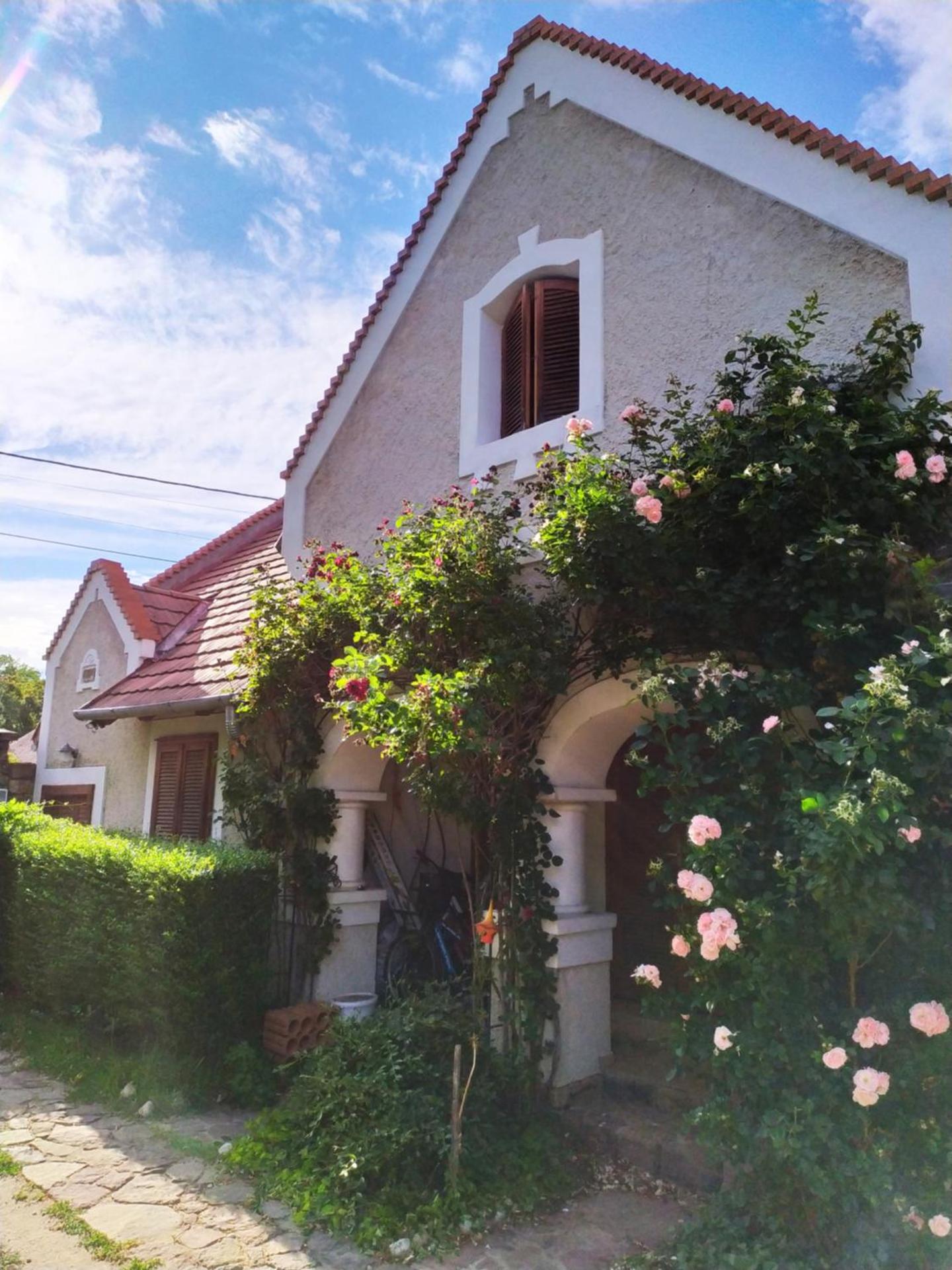 LindenTree-Harmony Apartman