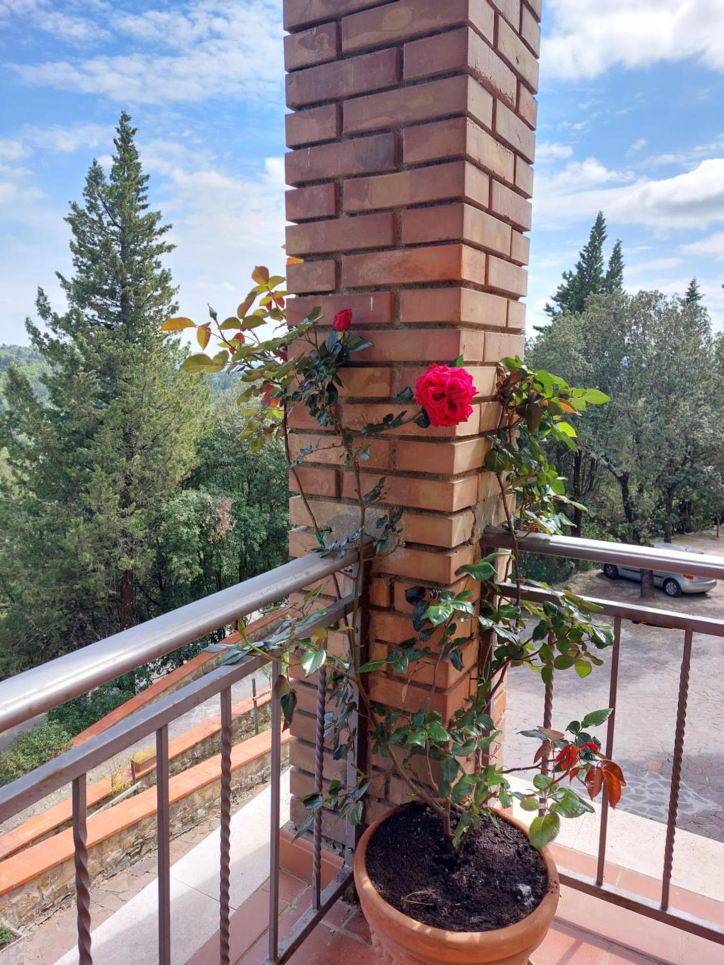 Casa Bruna - Cipresseta del Chianti