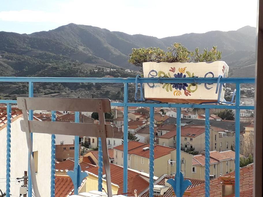 Banyuls La Grande Bleue : studio T1