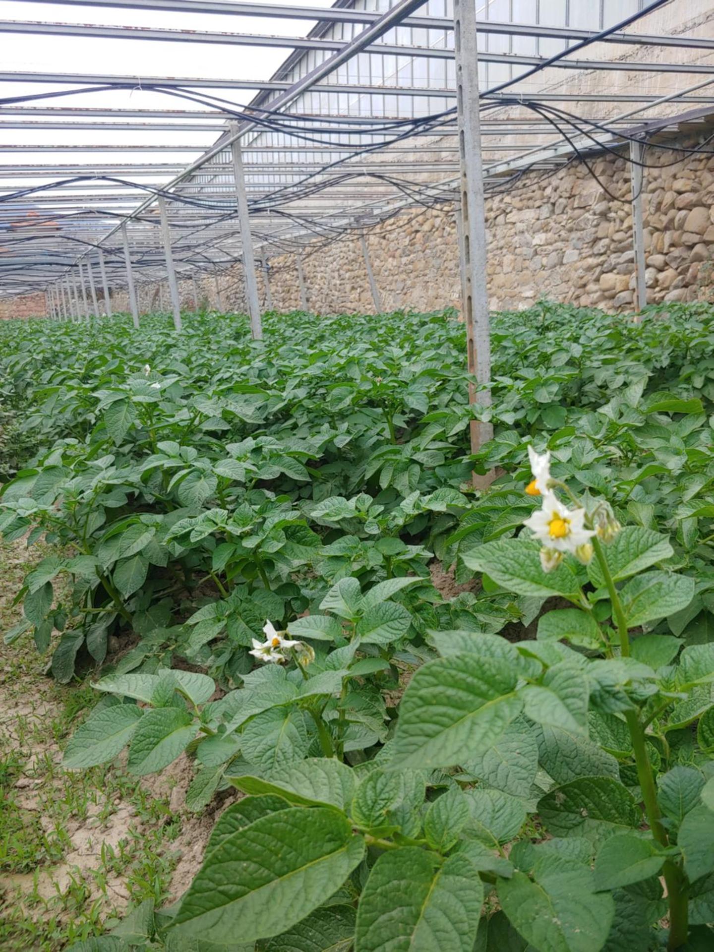 Agriturismo Ca du Bega 2