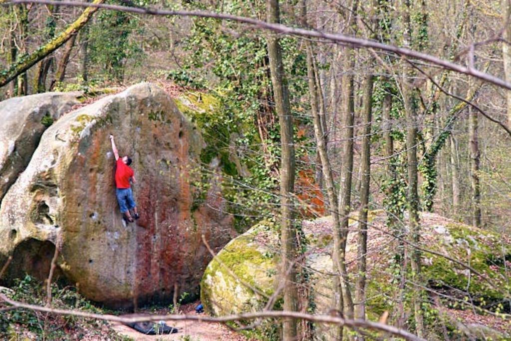 LE COSY - 2 Pers - Hyper centre de Fontainebleau