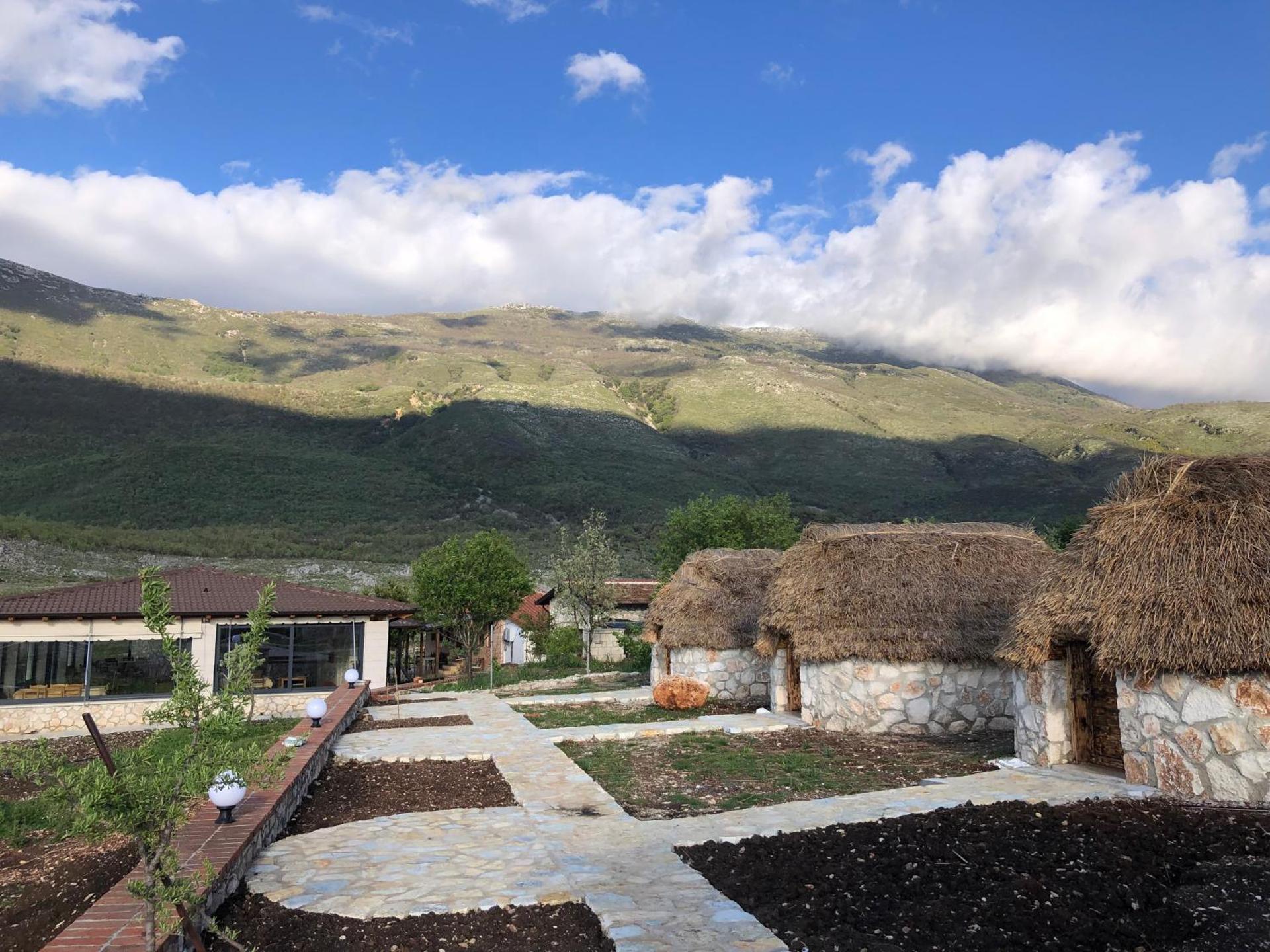 Sofra e Vjeter Sofo Tragjas i Vjeter