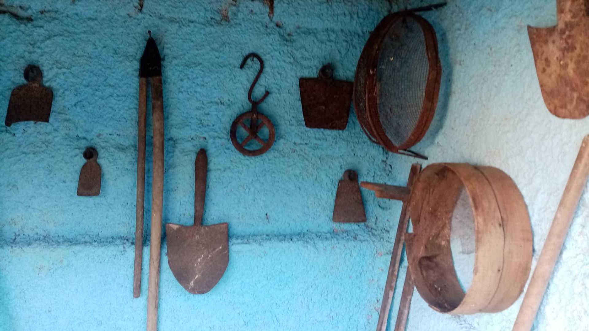 I Giardini di Palazzo Ducale