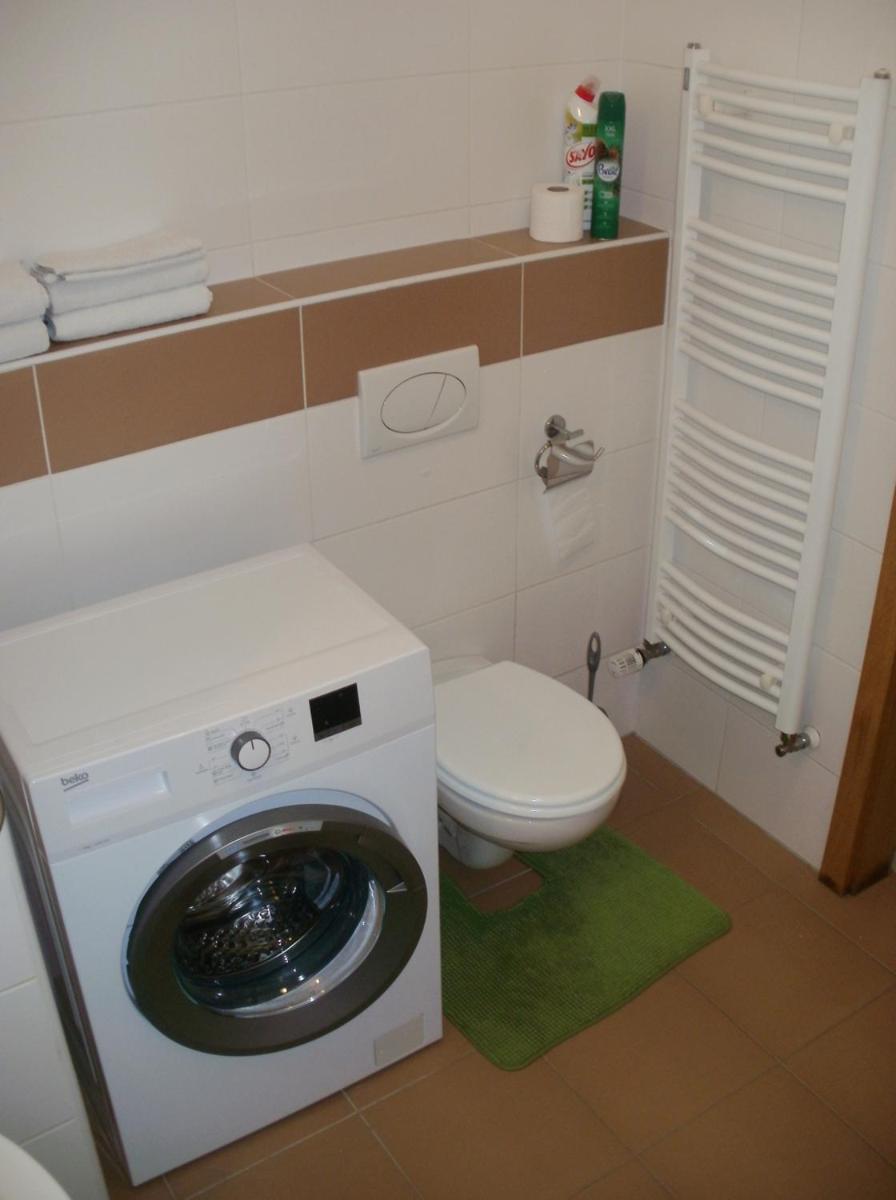 Garden apartment with garage in central Prague