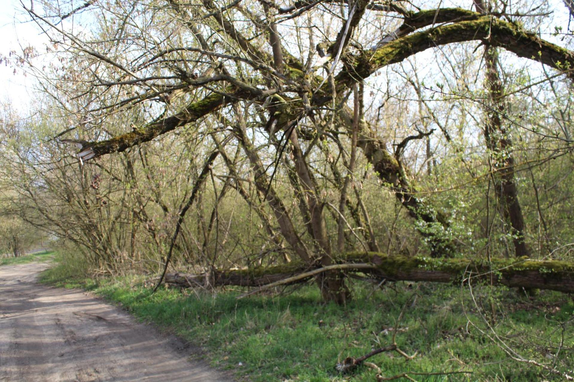 Camping domki letniskowe