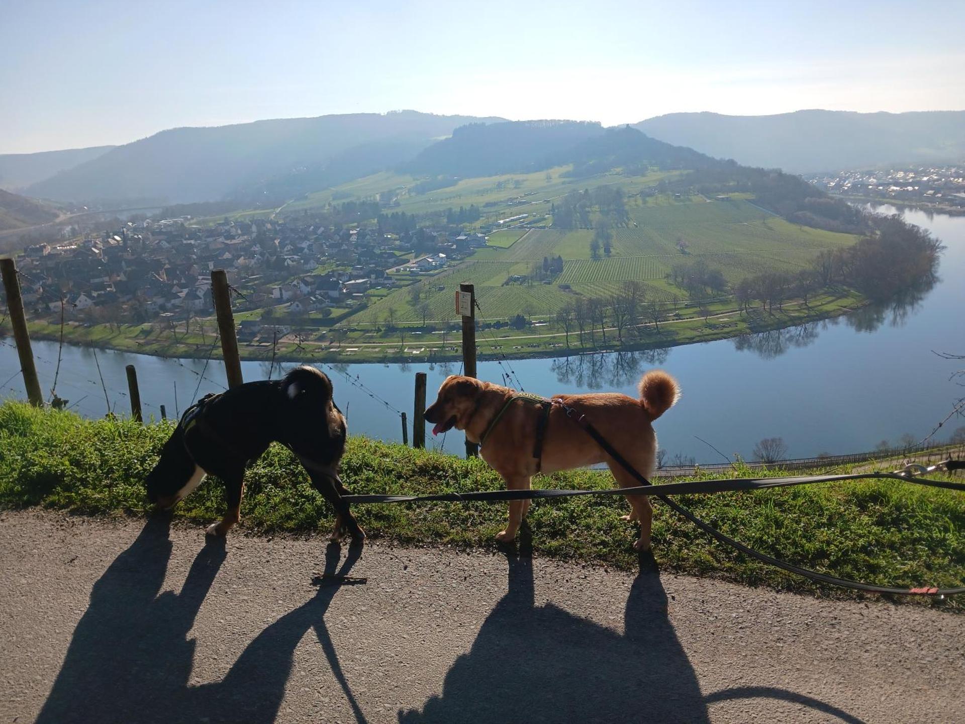 Ferienwohnung Gersch