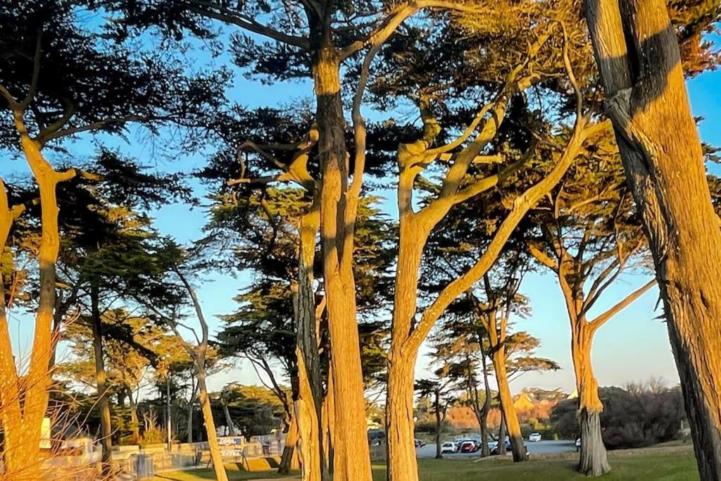 Valentin Beach Home ! un duplex sur la plage