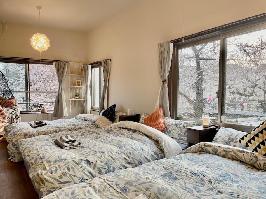 都内桜名所寝室から桜観賞リノベーリョン一軒家池袋エリア中板橋駅