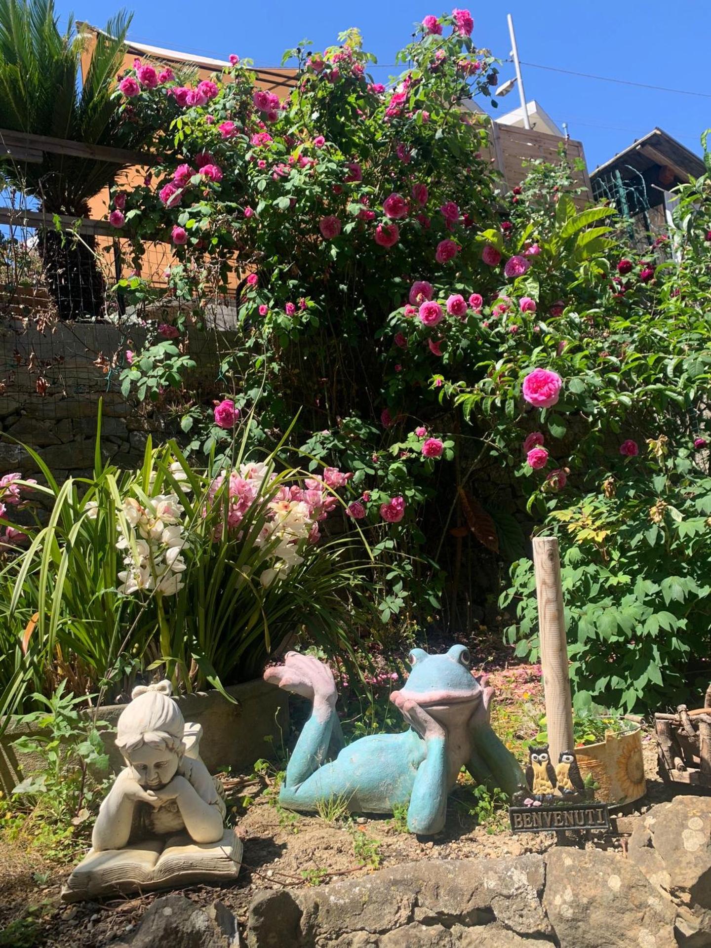 The Sea Flower appartamento con giardino e garage auto incluso