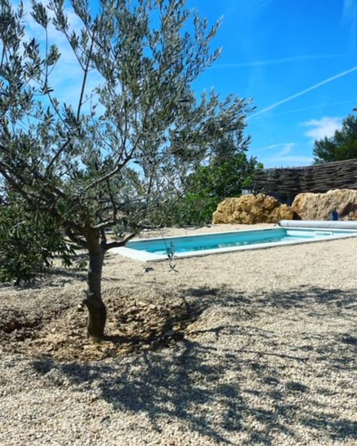 Les jardins de la Gravière à 5 mn de Lourmarin avec piscine privée