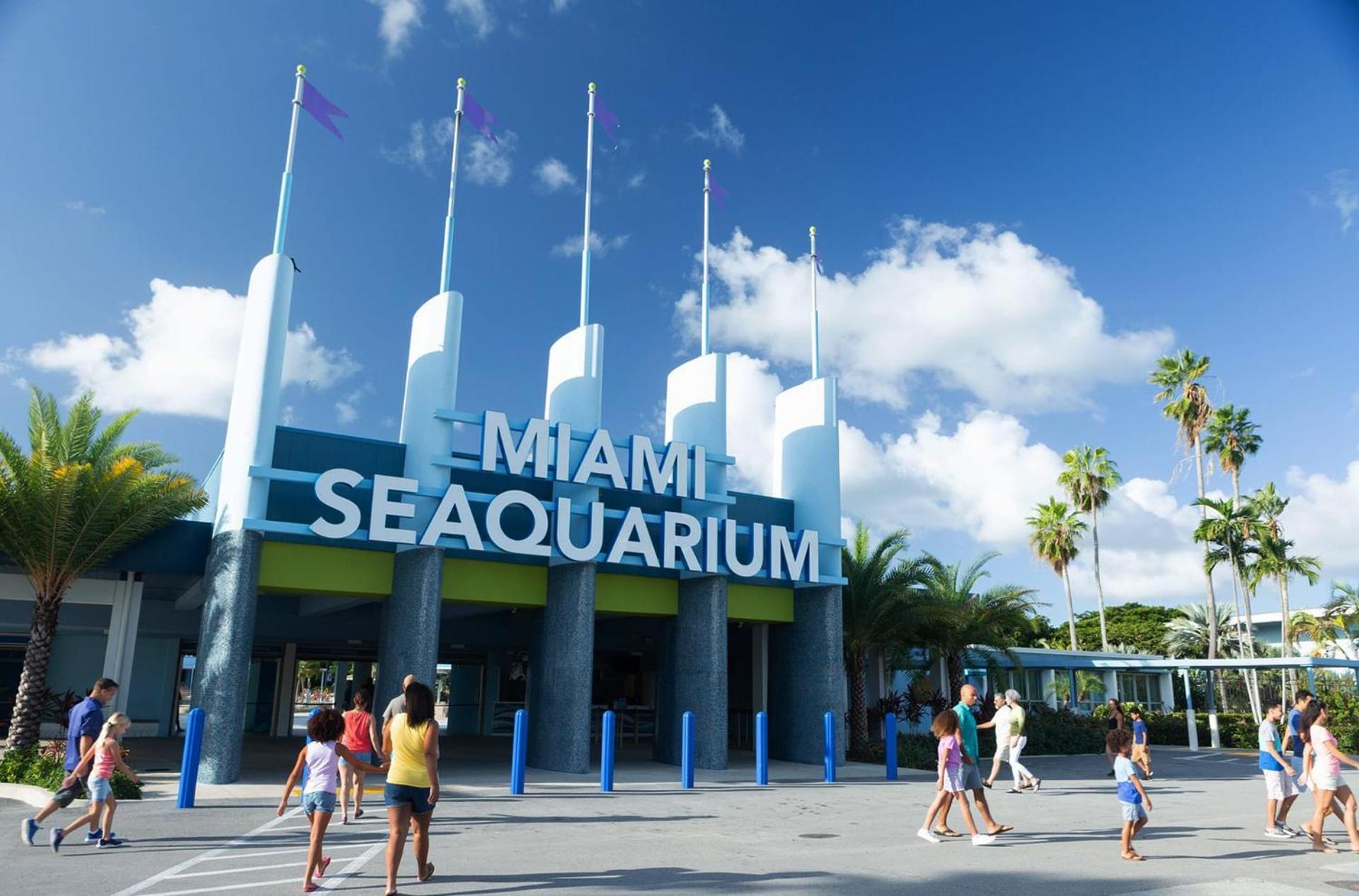 Roami at The Carmela