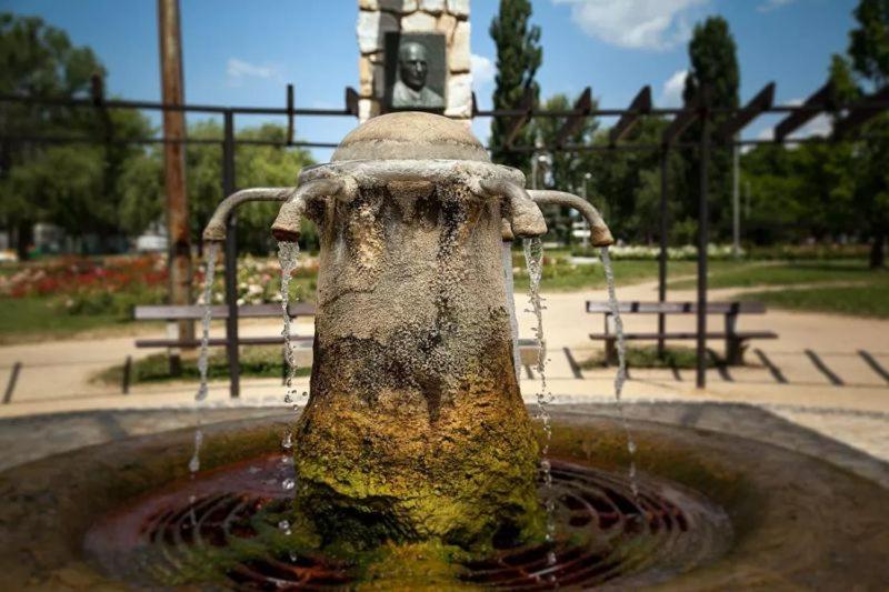 Central Studio Apartment