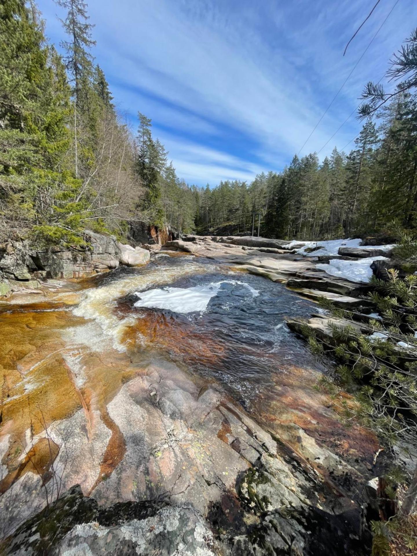 Peaceful cottage close to Bø Sommarland and Lifjell-perfect for hiking