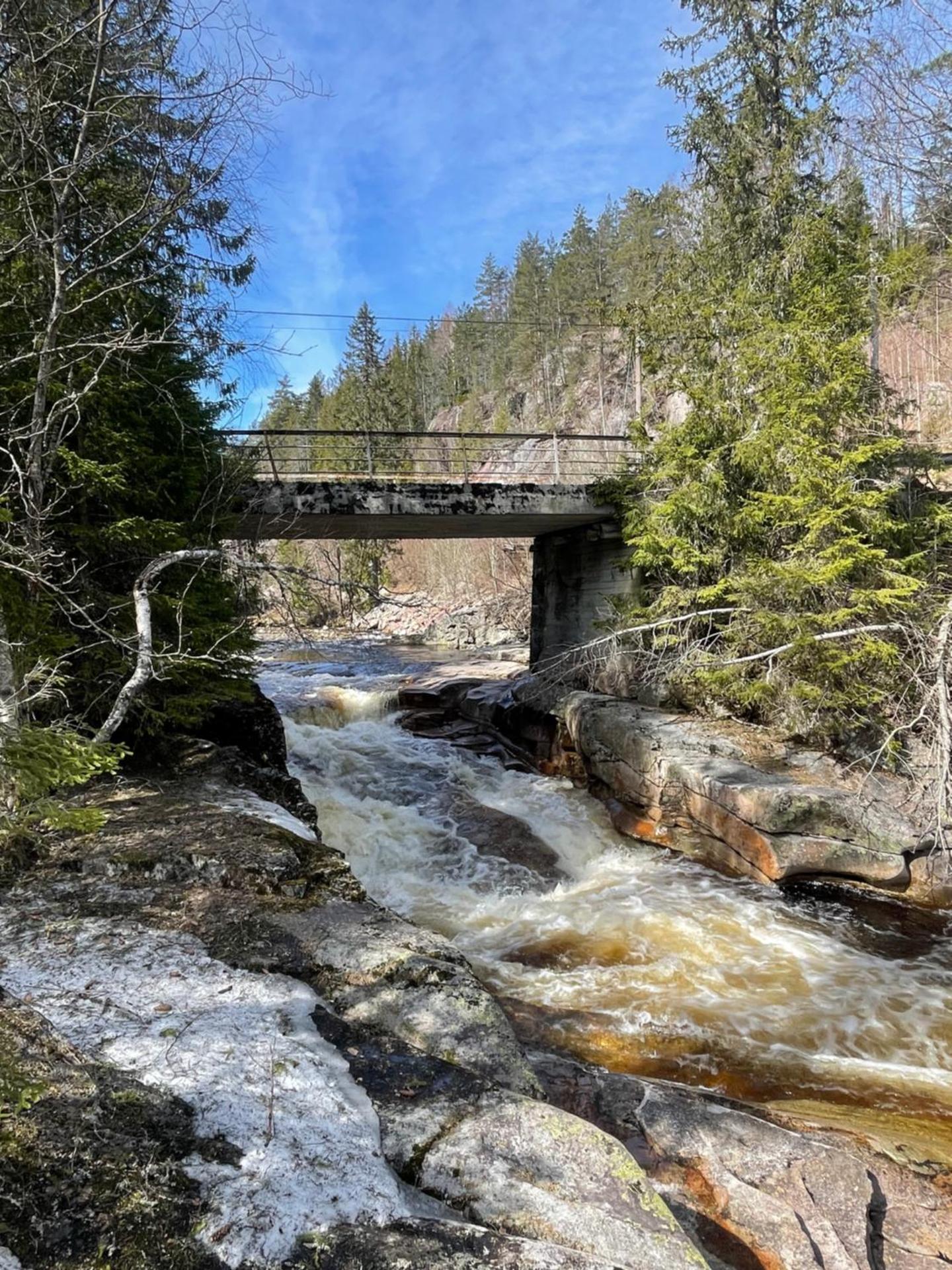 Peaceful cottage close to Bø Sommarland and Lifjell-perfect for hiking
