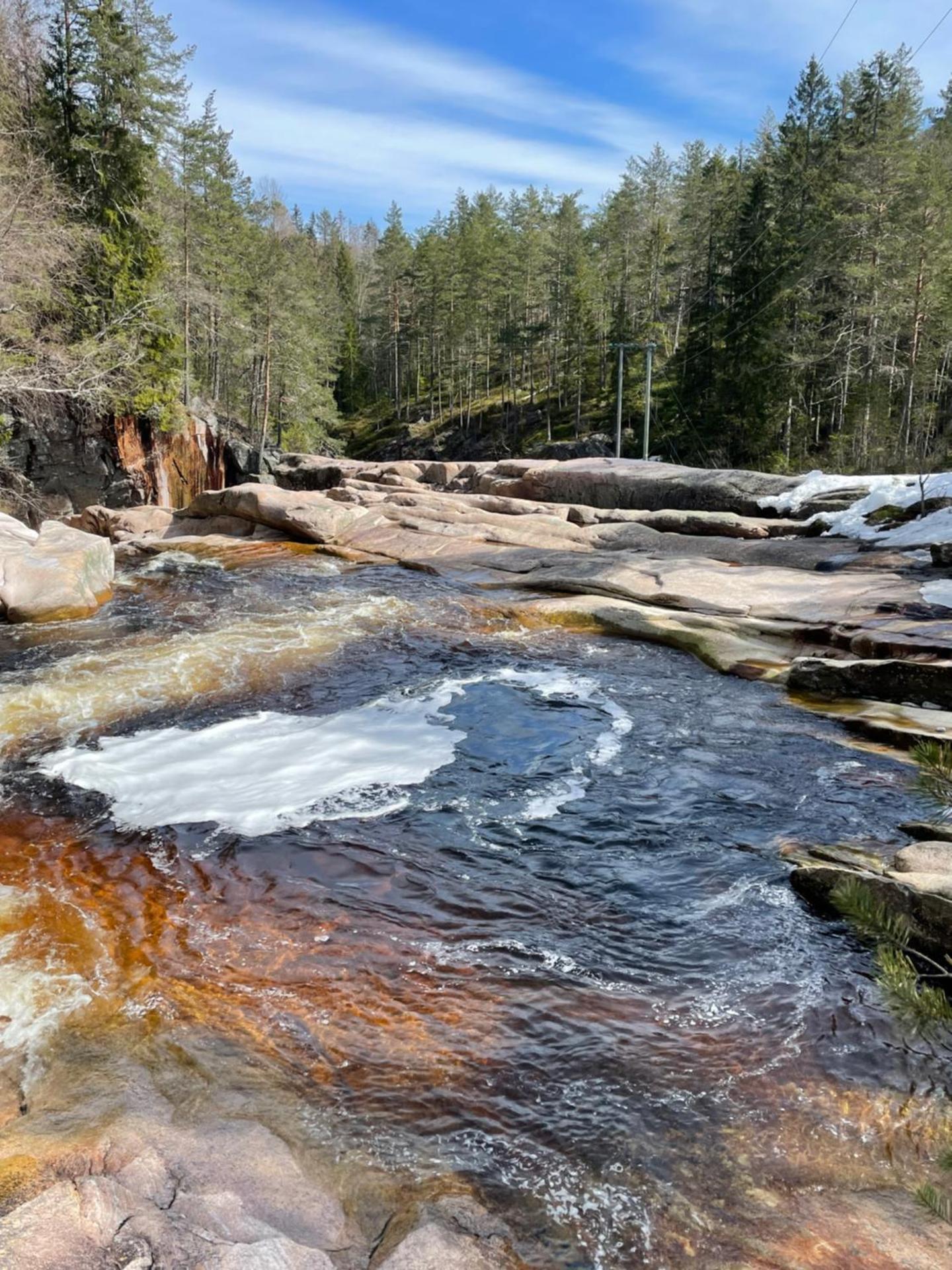 Peaceful cottage close to Bø Sommarland and Lifjell-perfect for hiking