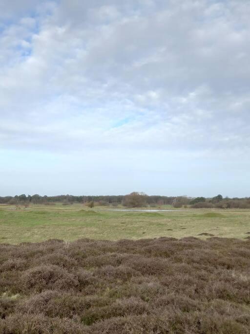 Suffolk View Apartment