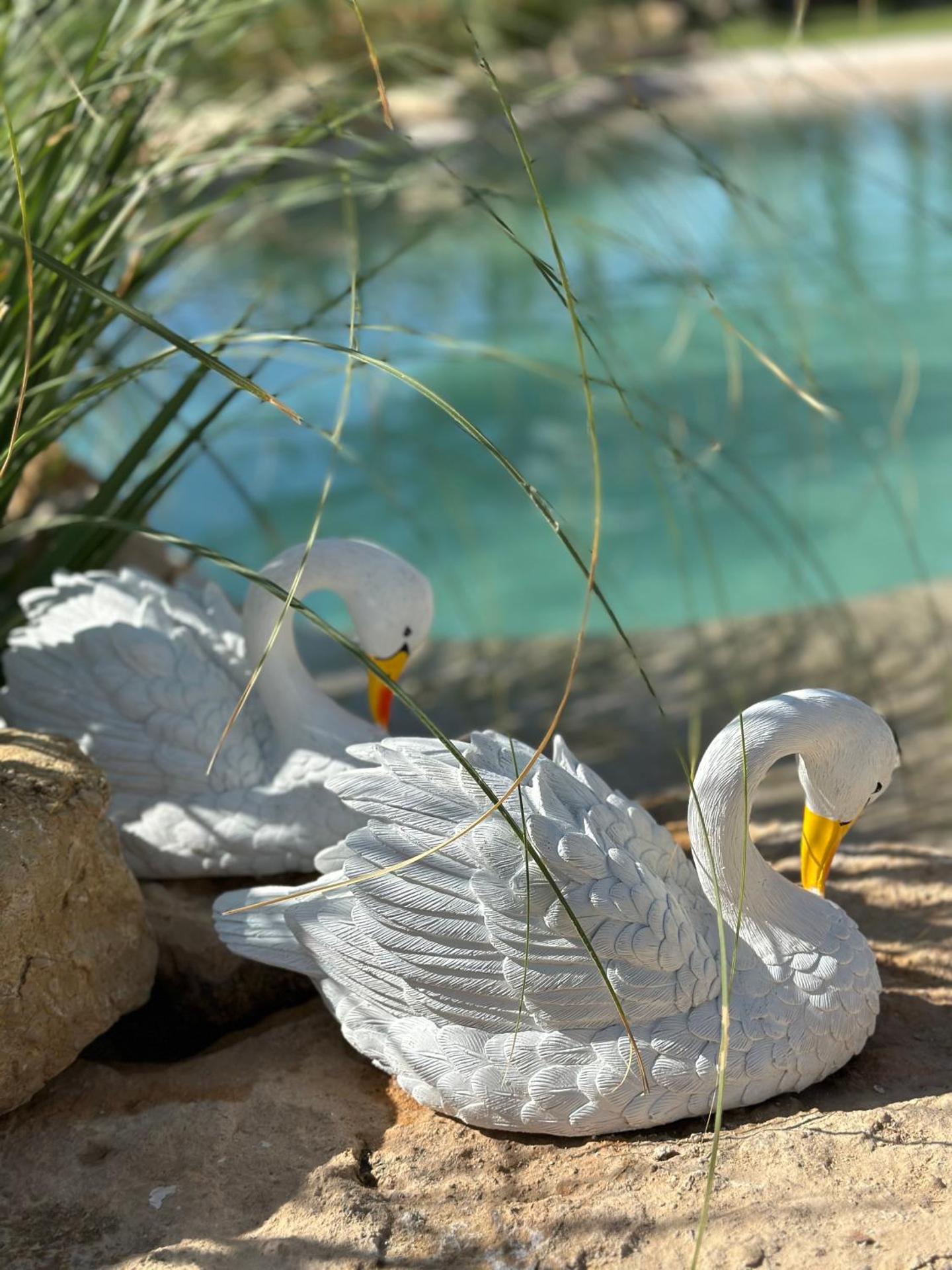 CASA RURAL LAS PALMERAS