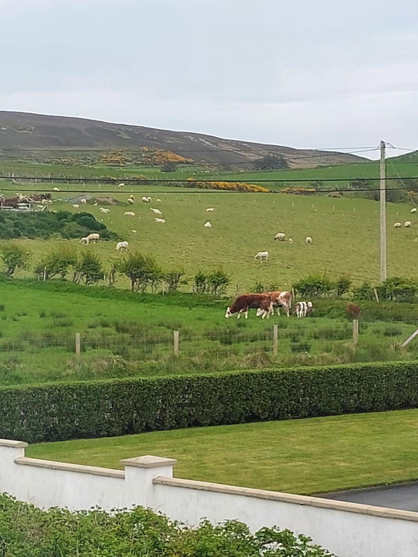 Bree House Malin Head