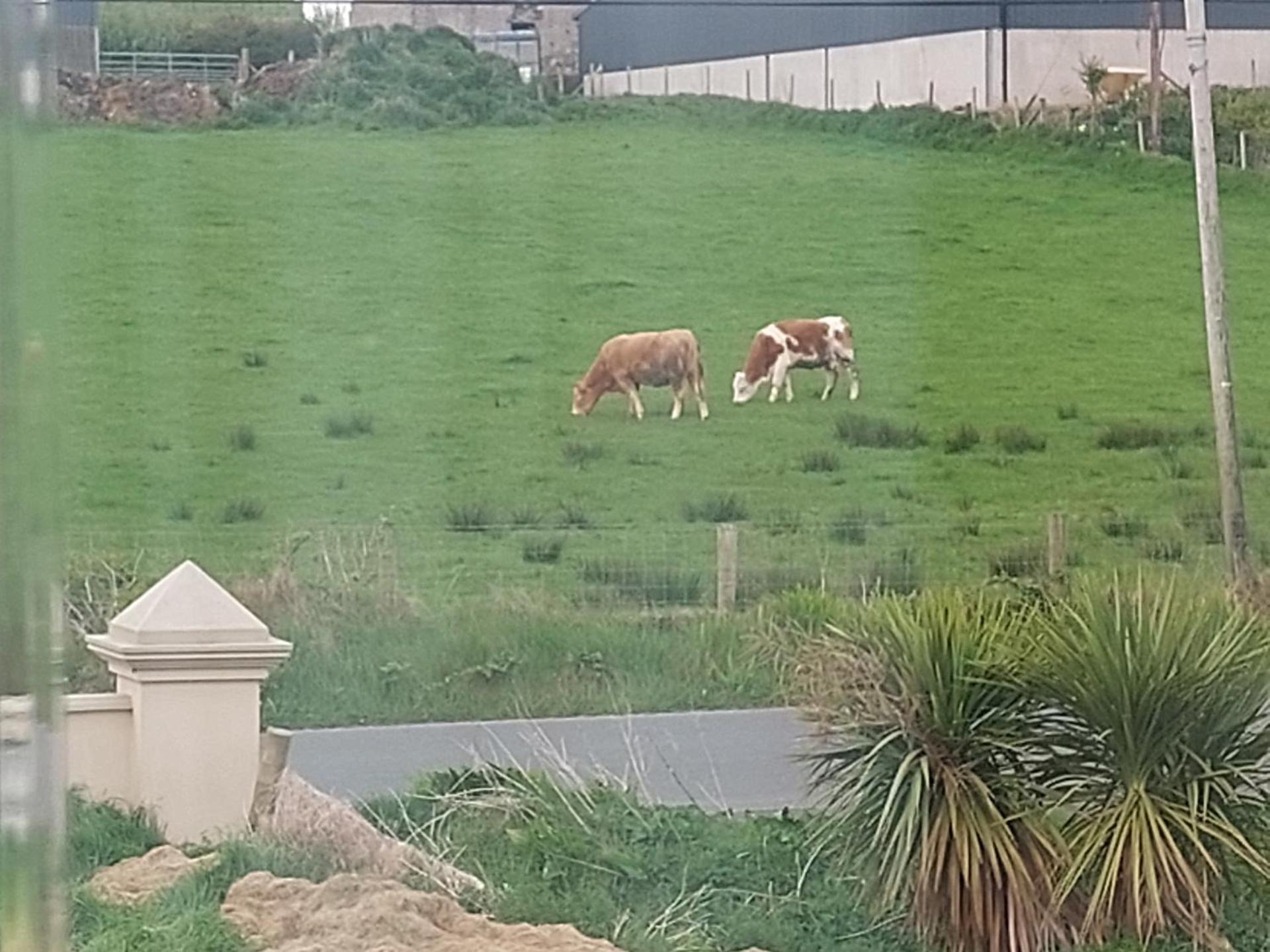 Bree House Malin Head