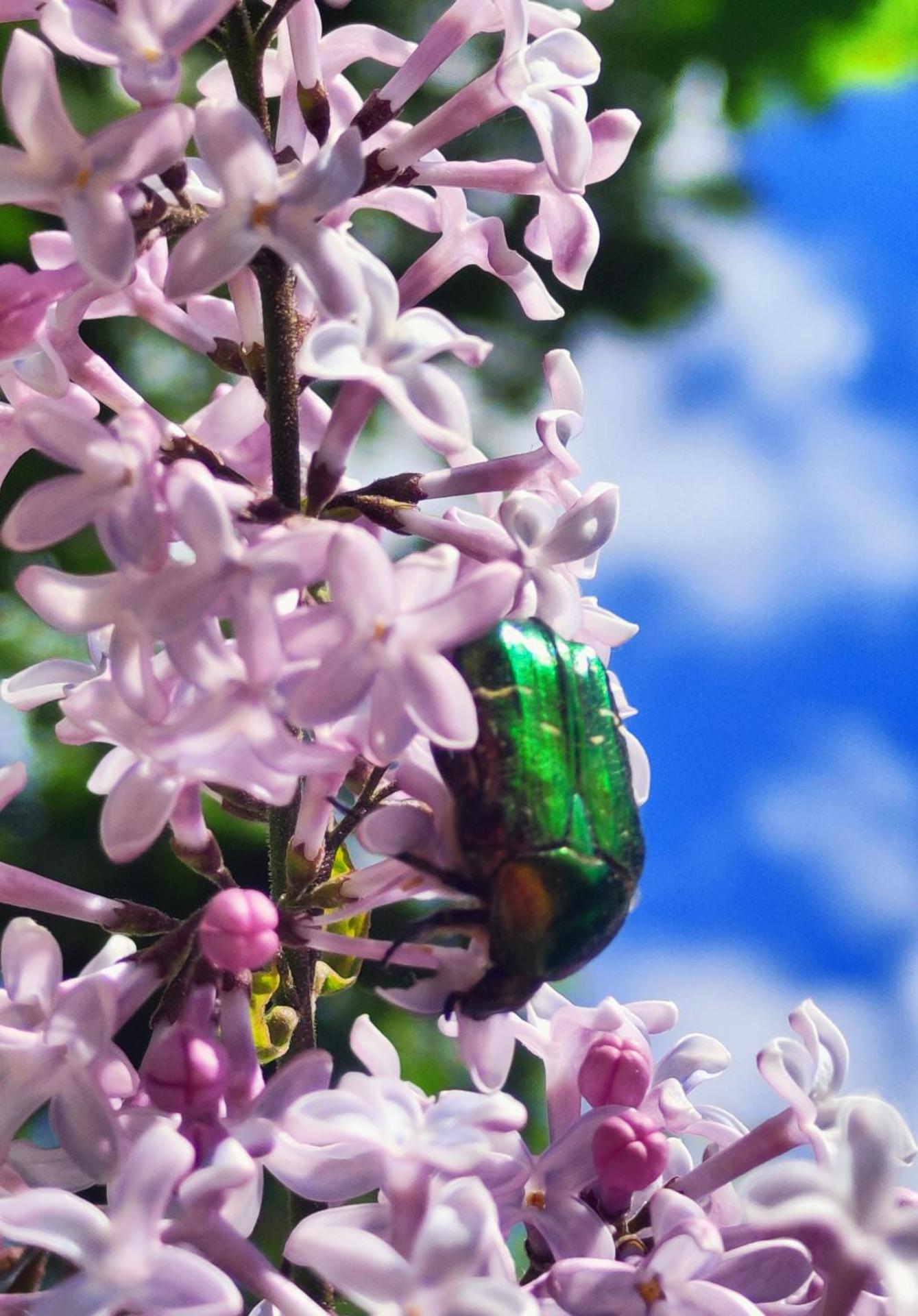 Apartament Baranek Nad Jeziorem