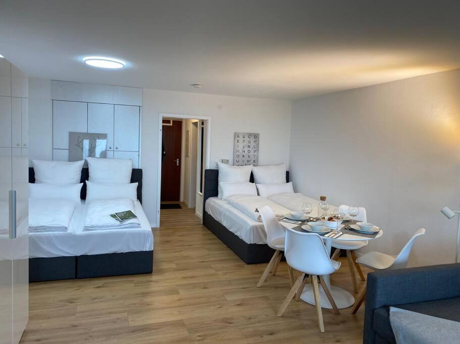 1-Zimmerapartment mit Burgblick