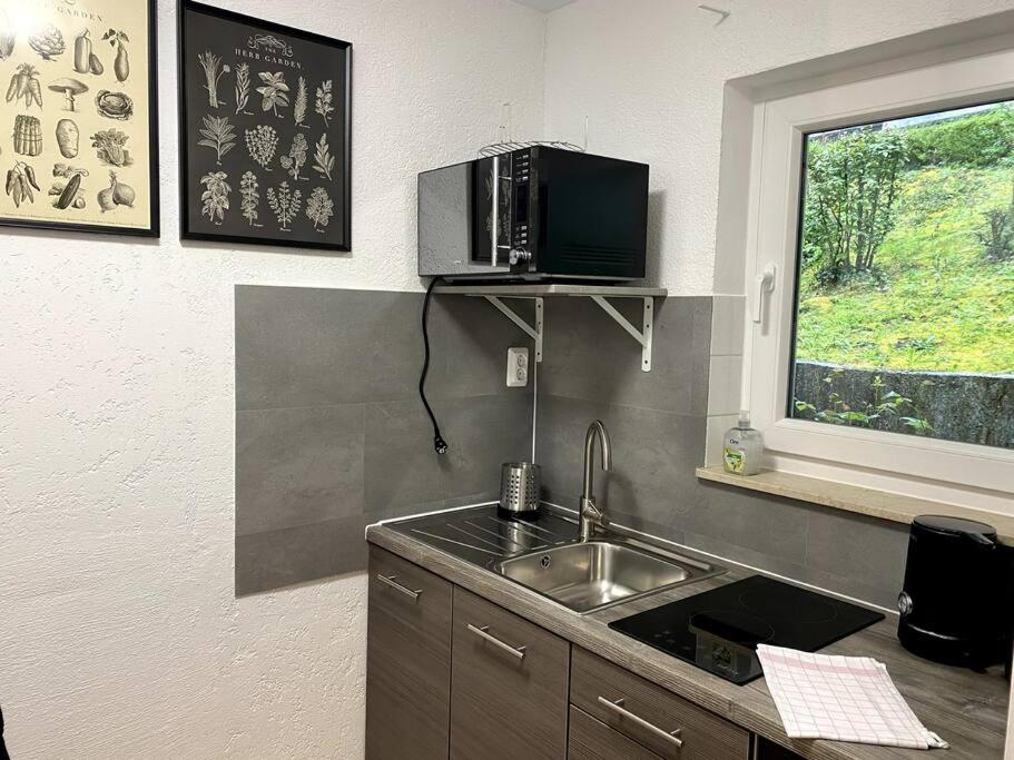 1-Zimmerapartment mit Burgblick