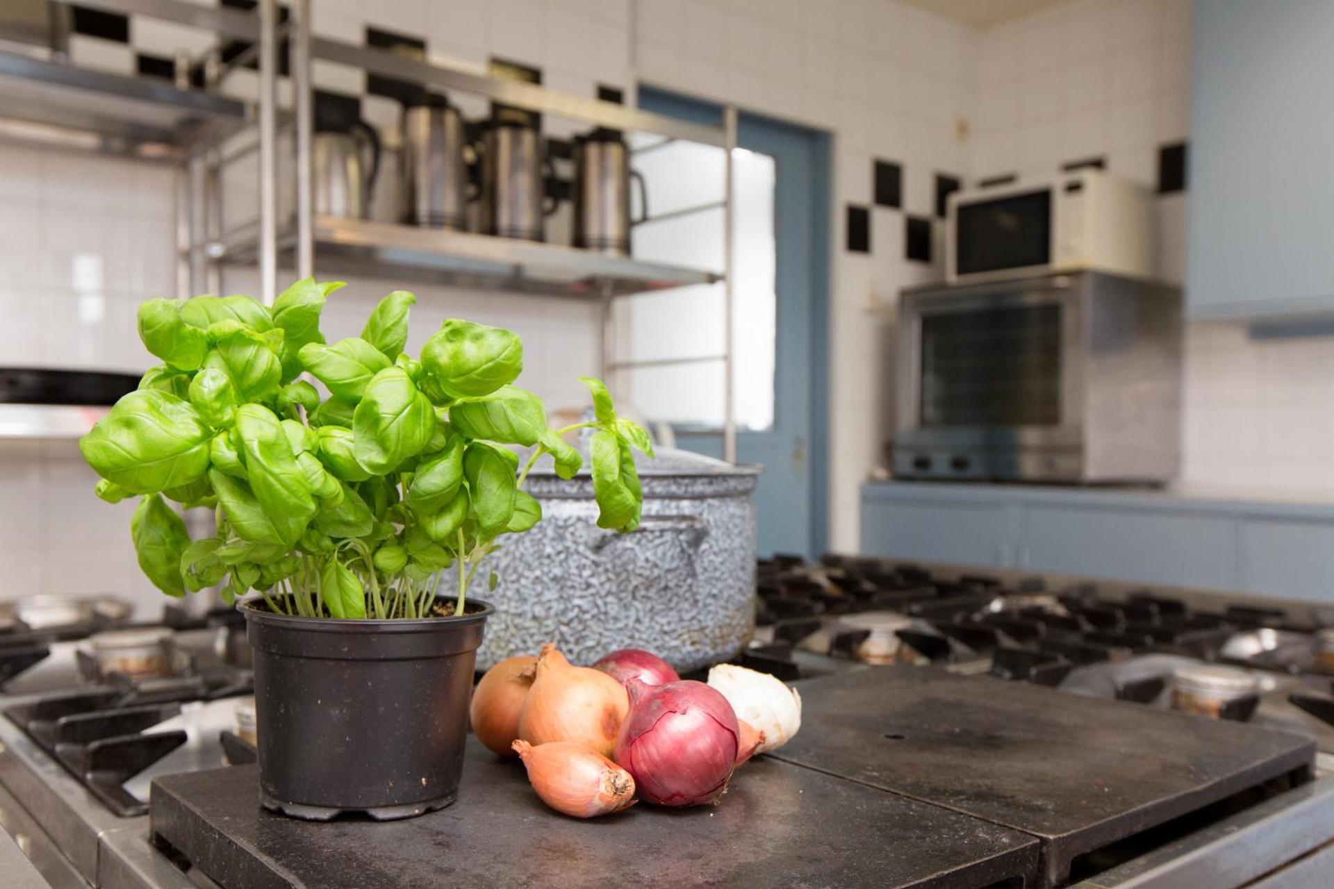 Het Toppunt groot vakantiehuis aan het water