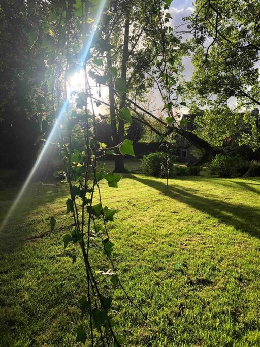 Gîte du moulin de Trostang