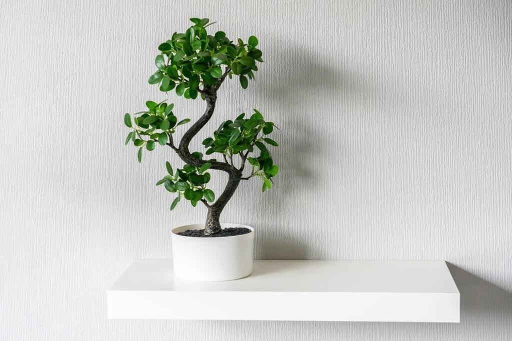 City home with parking and garden- pet friendly