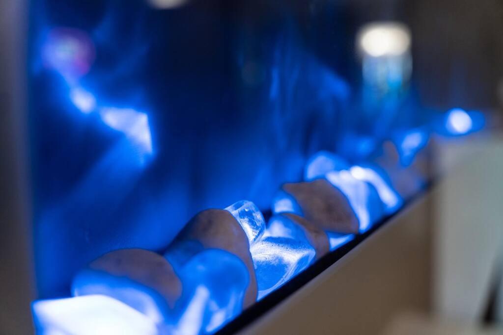 City home with parking and garden- pet friendly