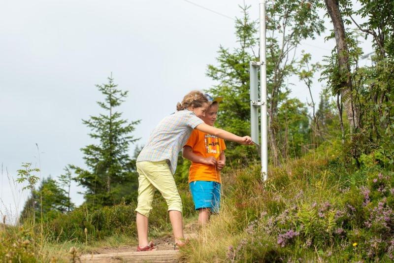 Neues Wood Design Apartment im Herzen des Bregenzerwalds