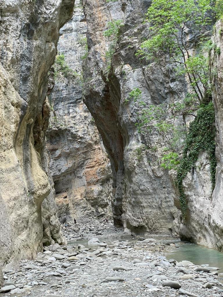 Honey-House “Kastrioti”