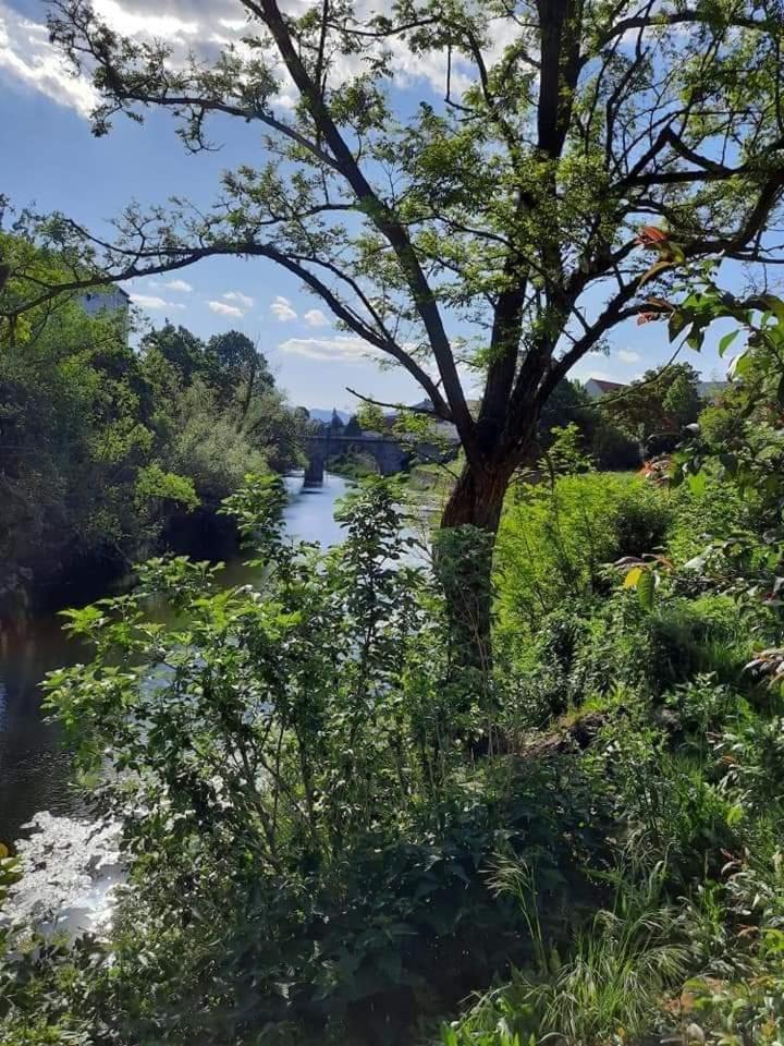 Gospic Riverside Apartment