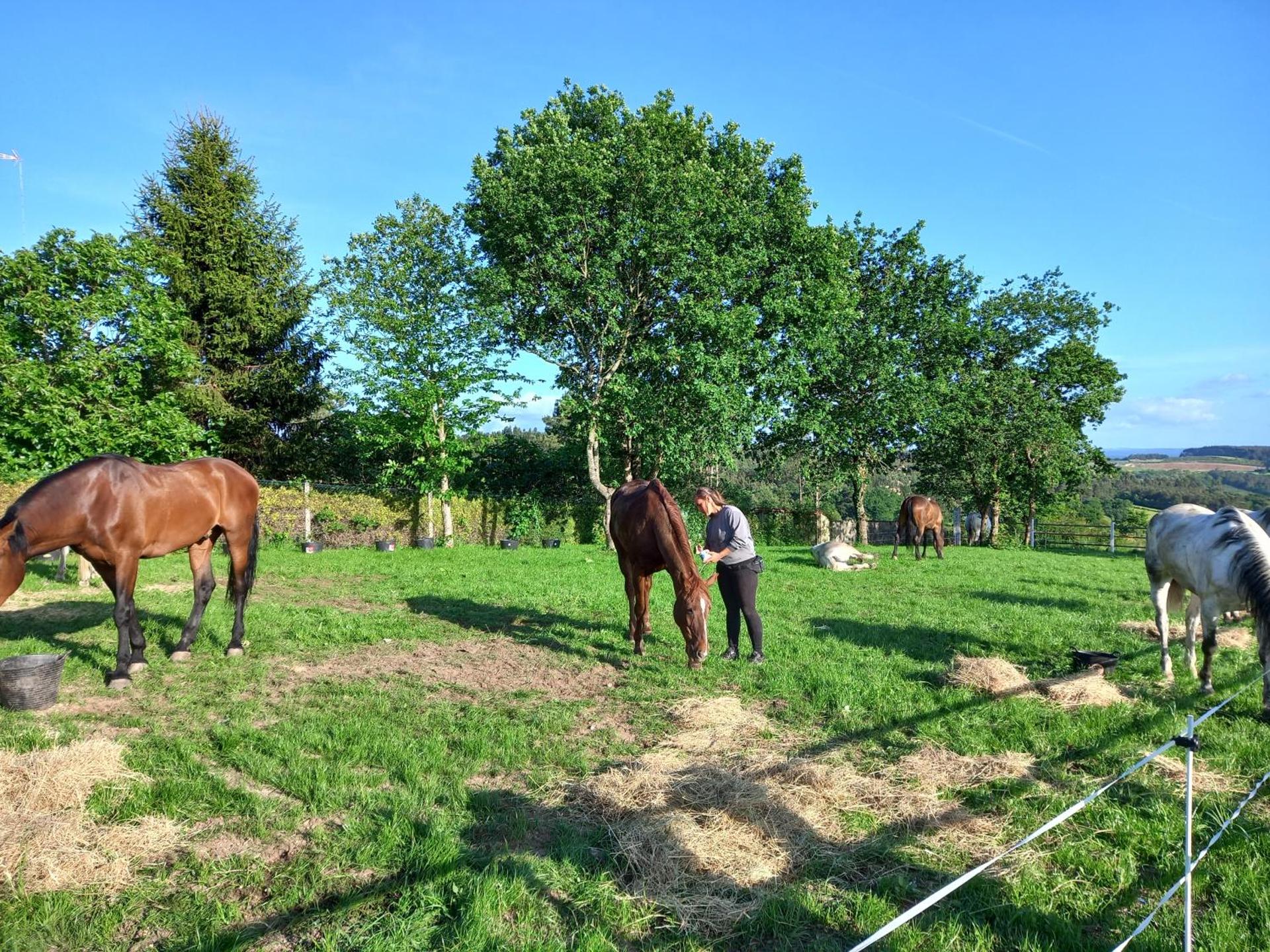 Hotel La Puerta de Arzúa