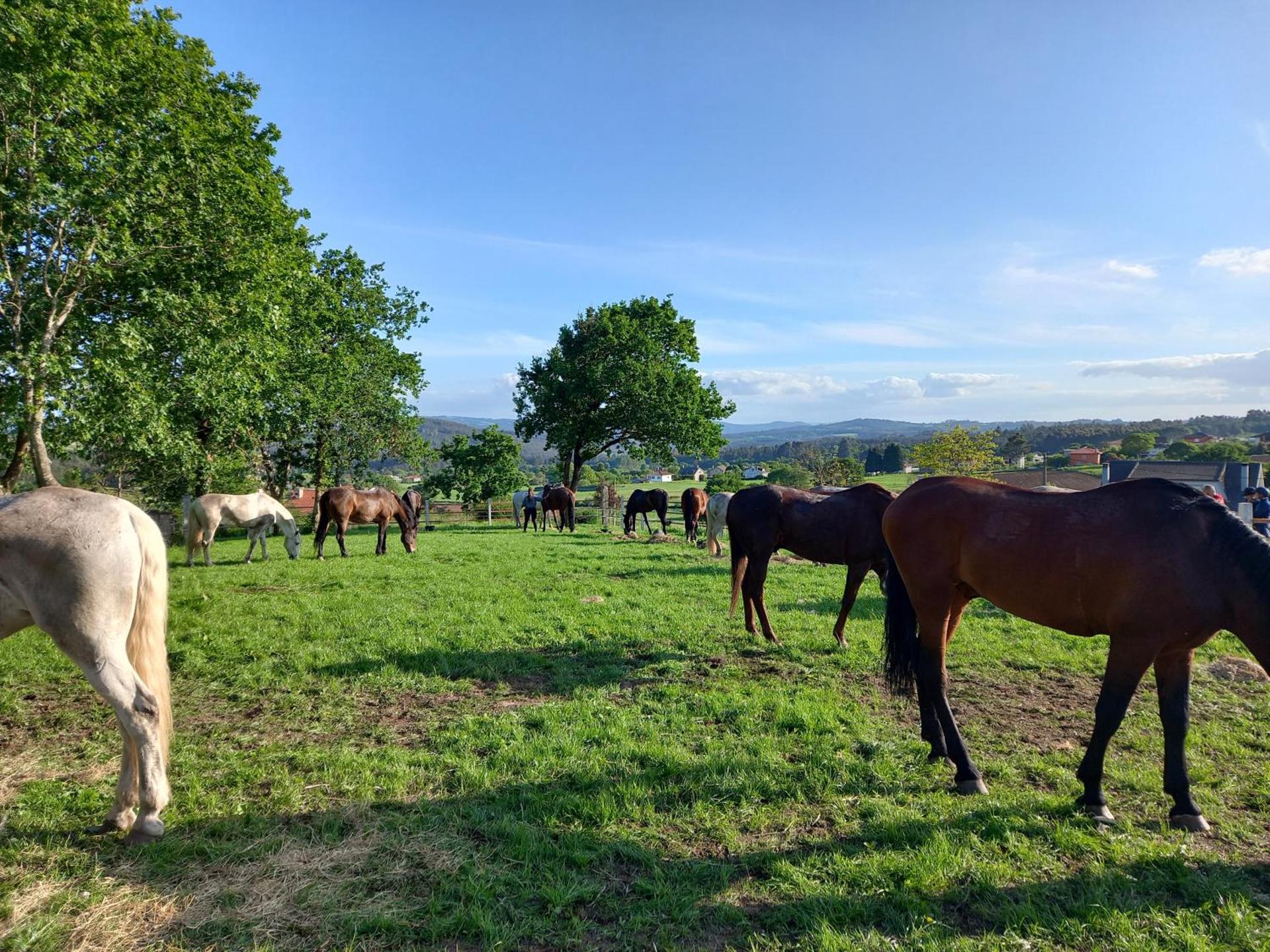 Hotel La Puerta de Arzúa