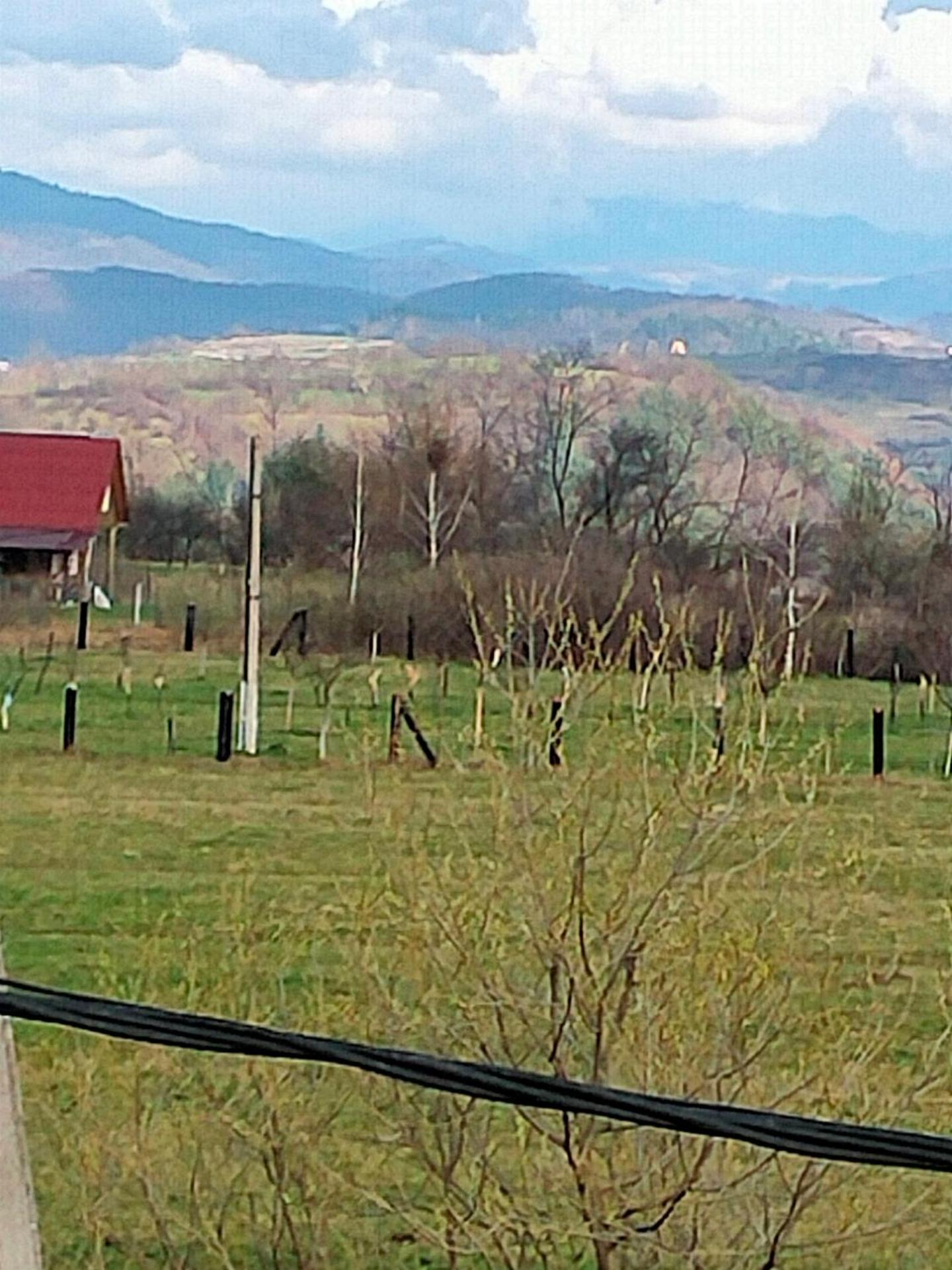 Maramureș plai cu flori