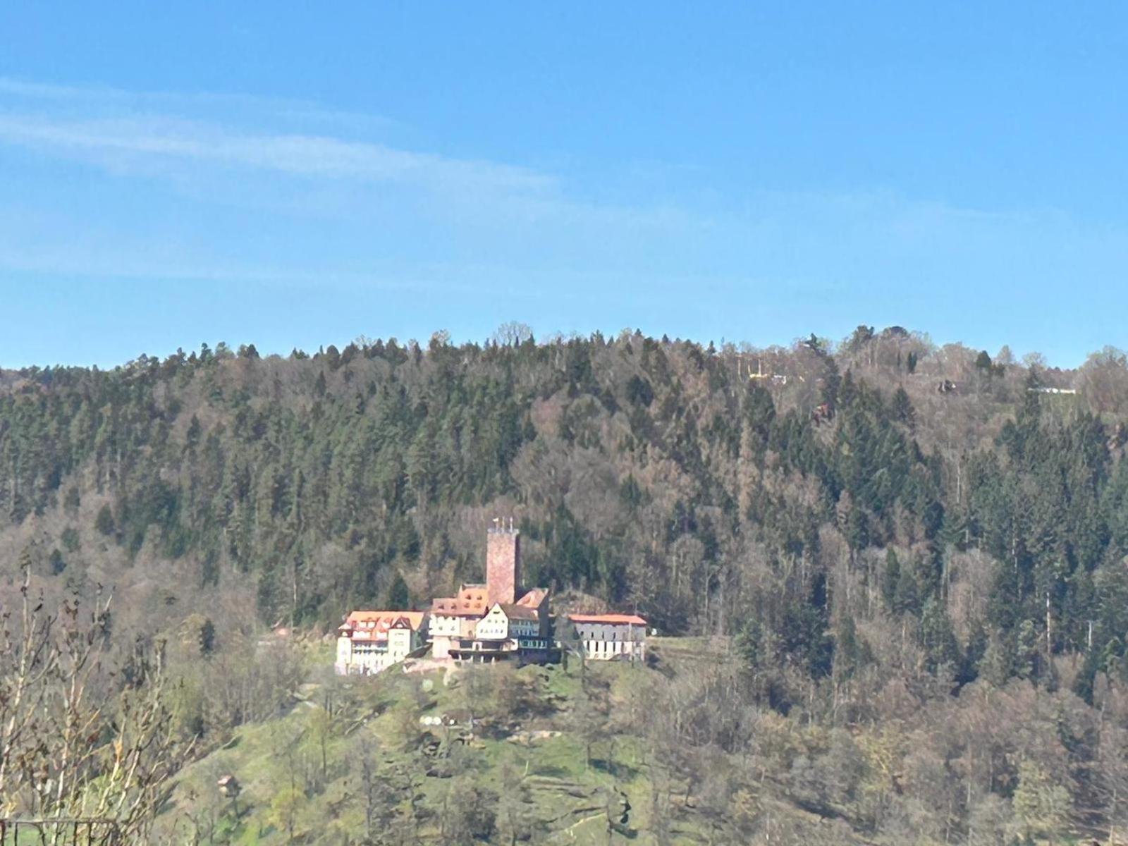 1-Zimmerapartment mit Burgblick