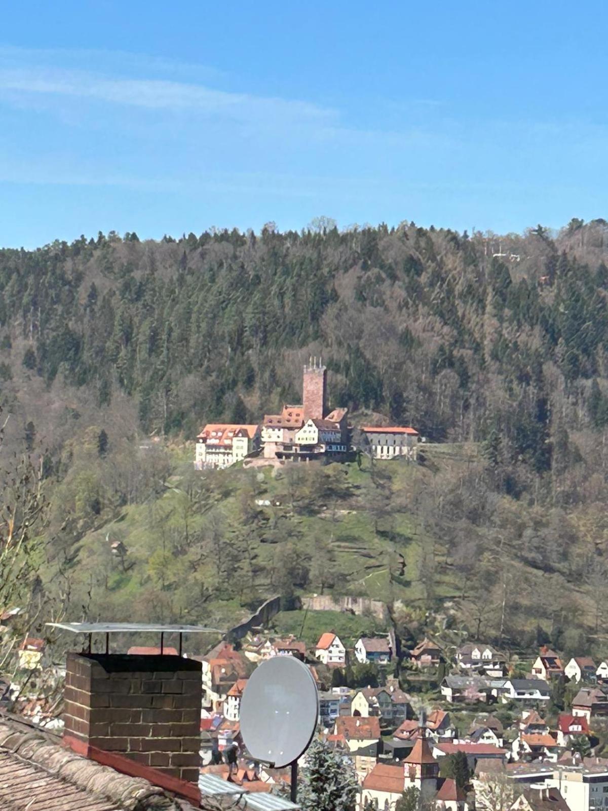 1-Zimmerapartment mit Burgblick