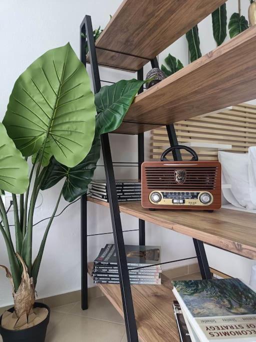 Φρίντα στο κέντρο της Ορεστιάδας