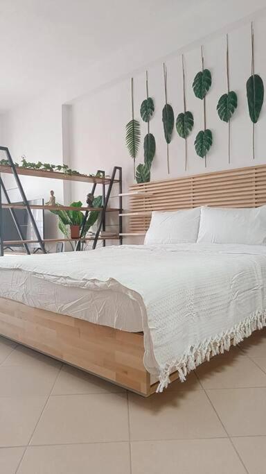 Φρίντα στο κέντρο της Ορεστιάδας