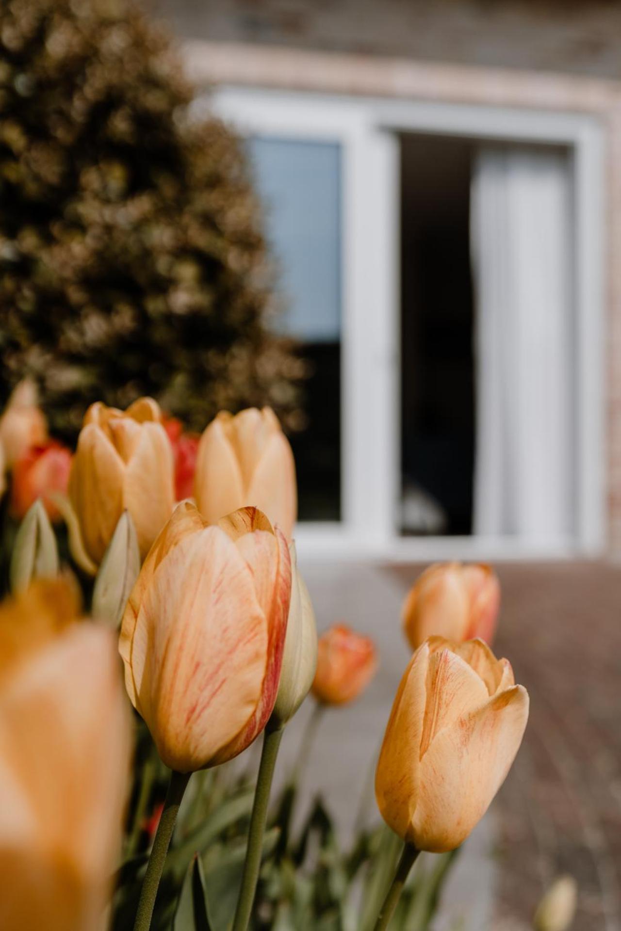 Duinvilla Aan de Zee B&B