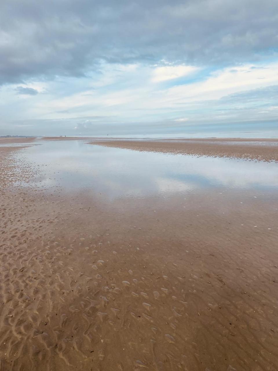 Appartement Céline - De Panne