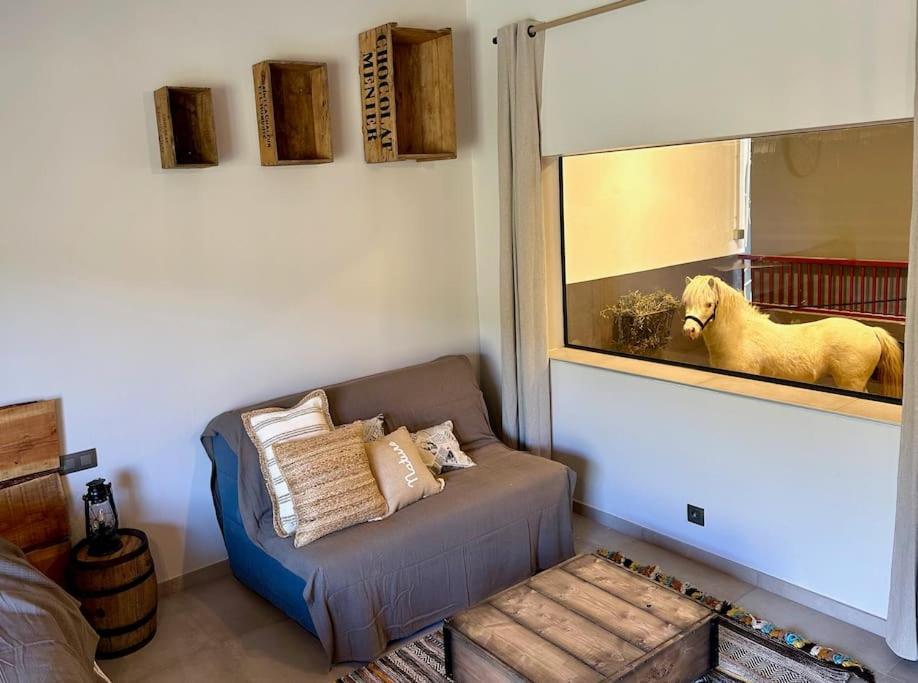 Logement atypique - Chevaux Miniatures Rhéa Horses