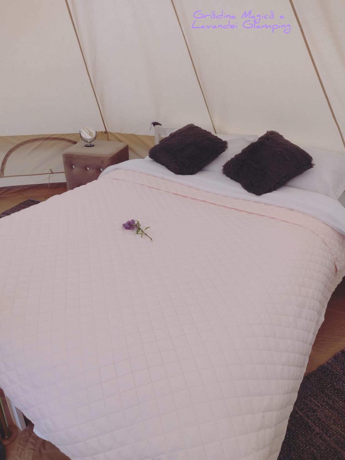 Grădina Magică a Lavandei Glamping