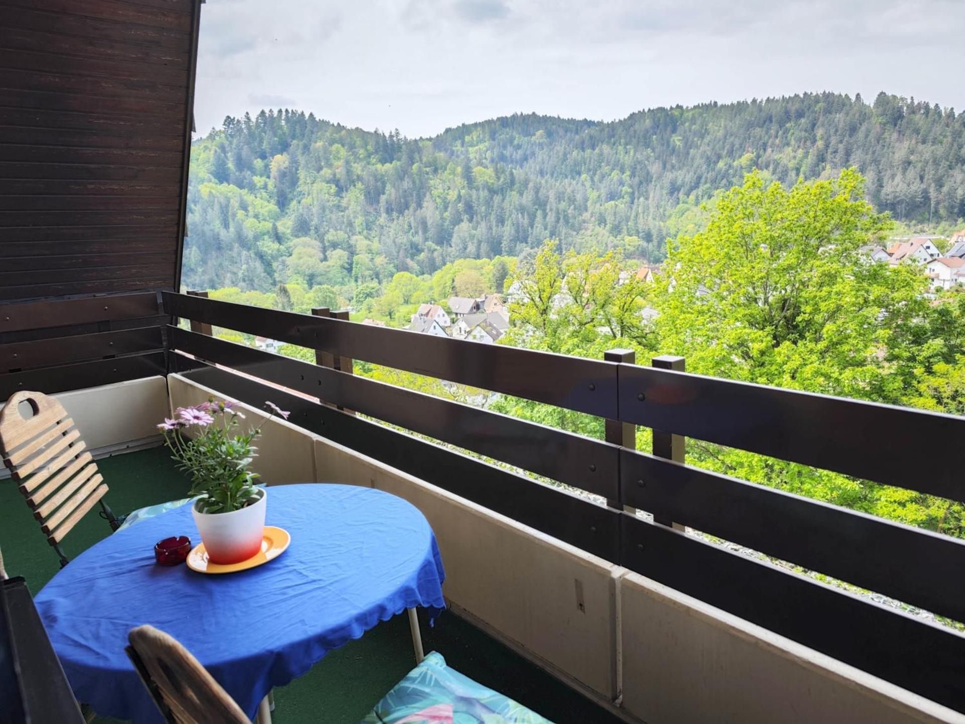 Apartment with panoramic views in the black forest